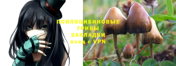 не бодяженный Алексин