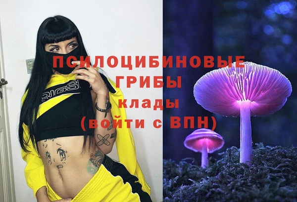 прущие крисы Новодвинск