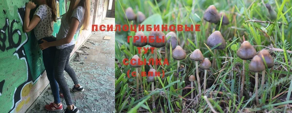 не бодяженный Алексин
