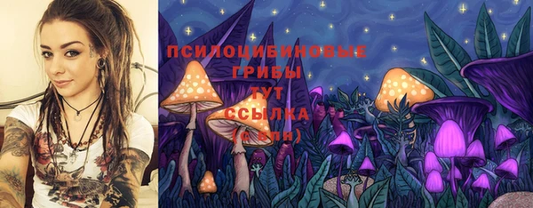эйфоретик Алексеевка